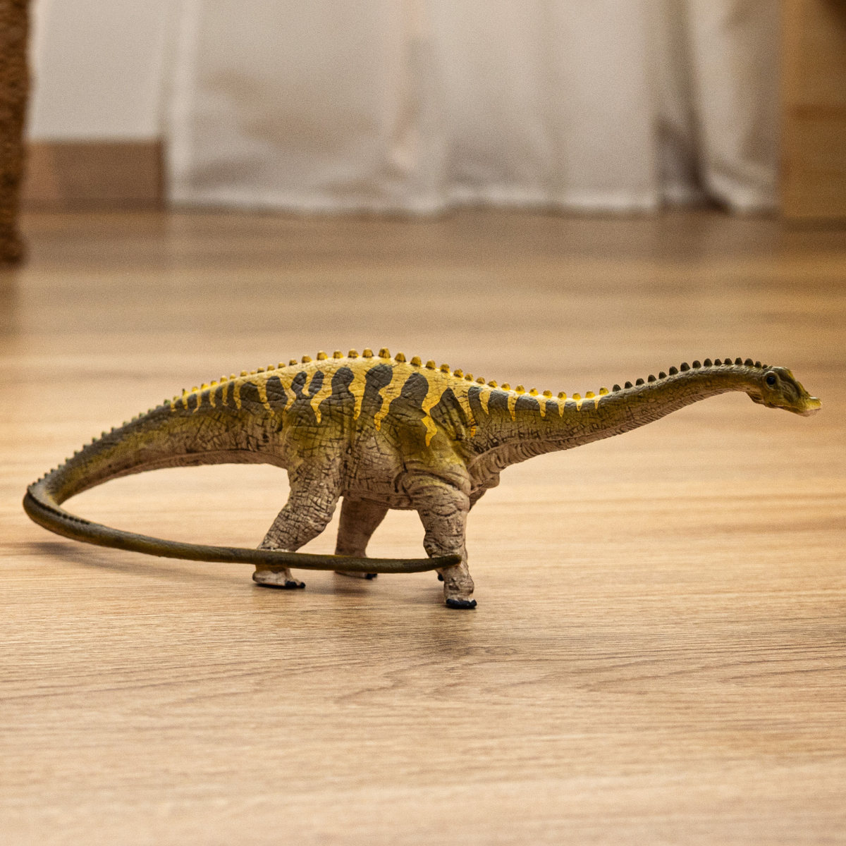 Diplodocus
