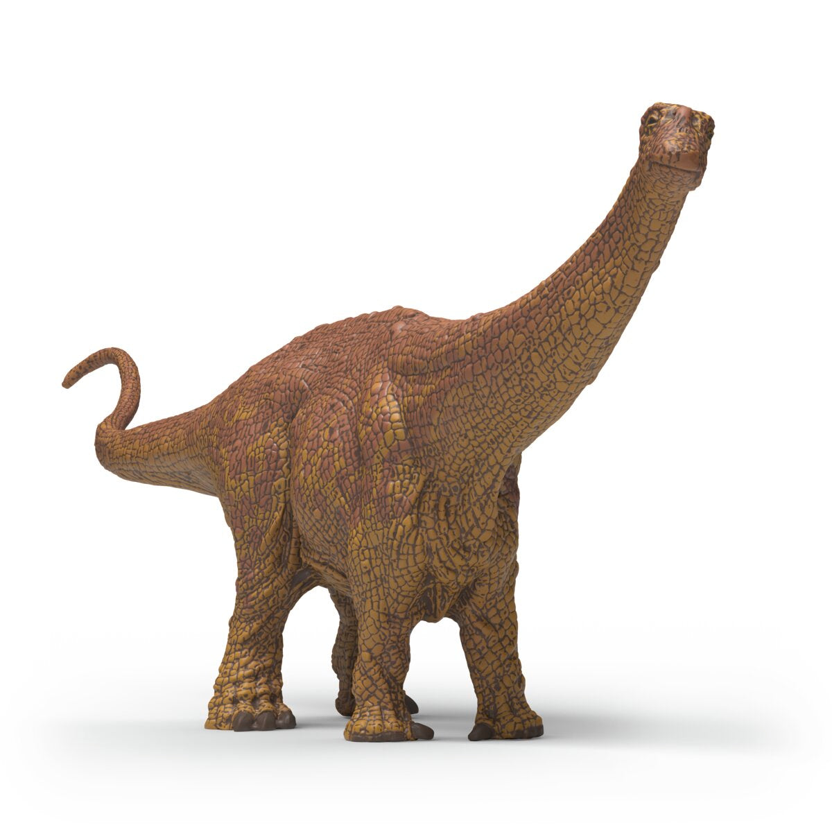 Brontosaurus