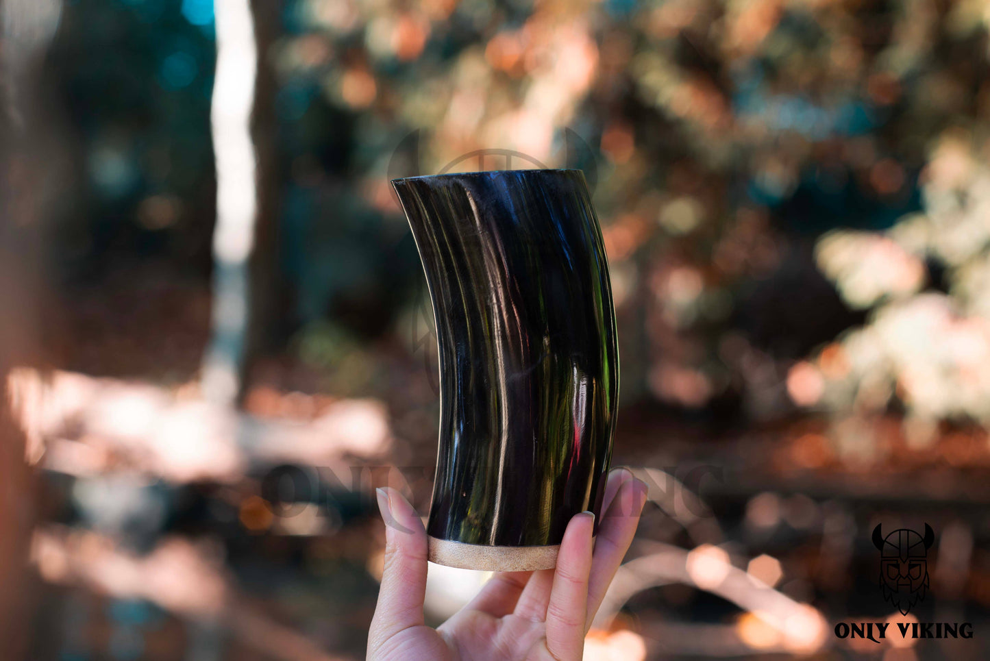 Drinking Horn Beer Stein 6 Inch