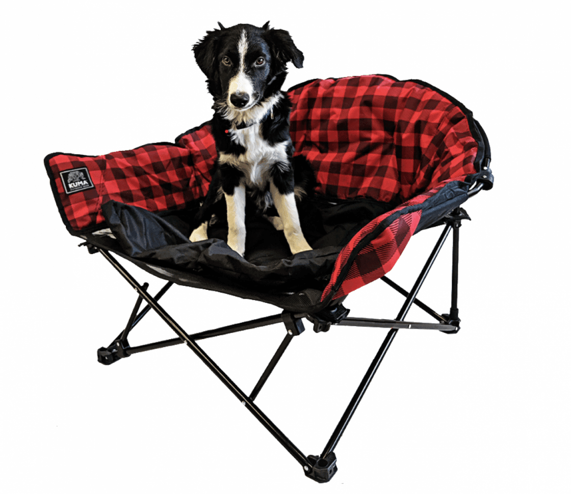 Lazy Bear Dog Bed - Uncle Mike's Outdoors and More!