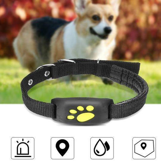 GPS Pet Tracker GPS Dog fence