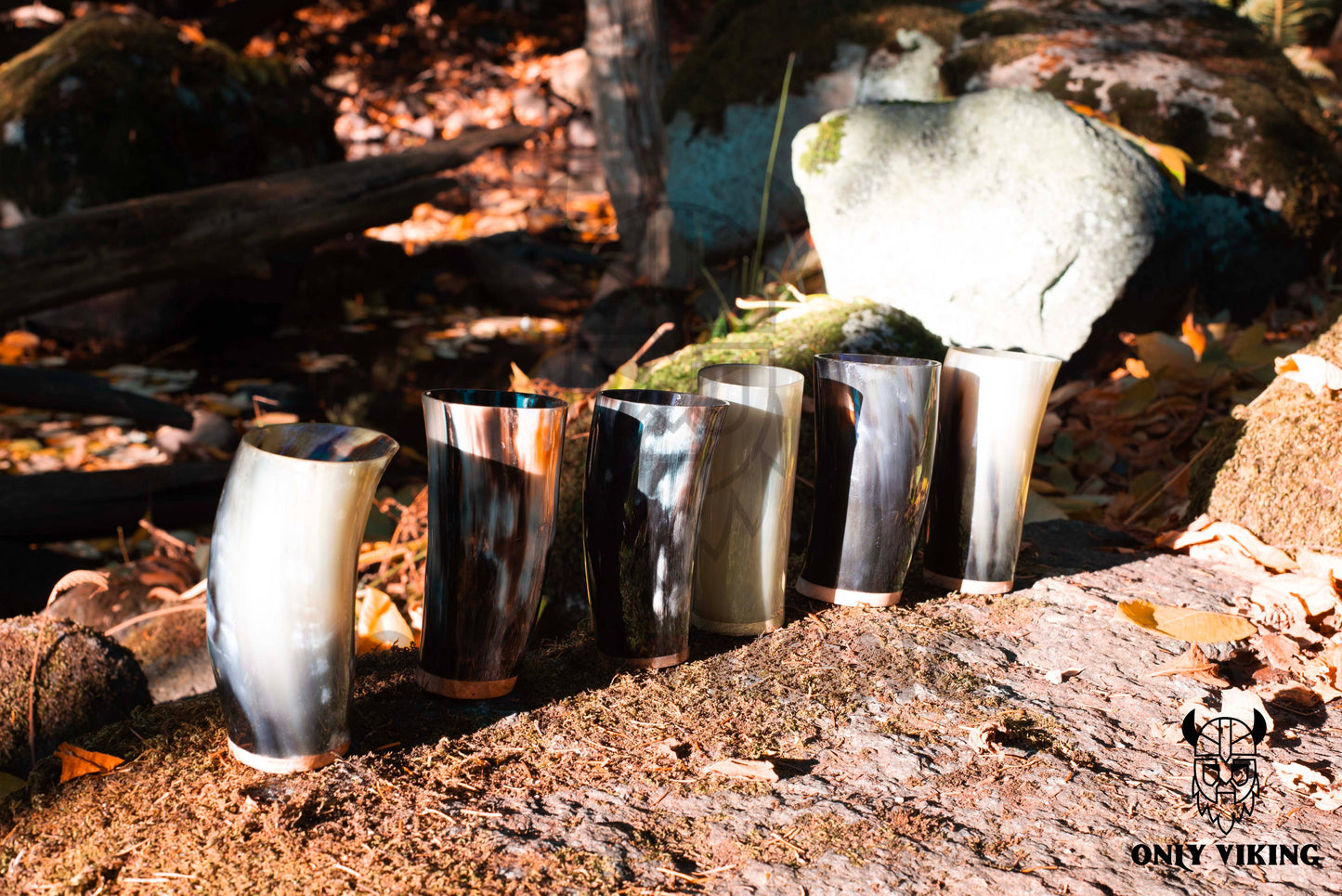 Drinking Horn Beer Stein 6 Inch