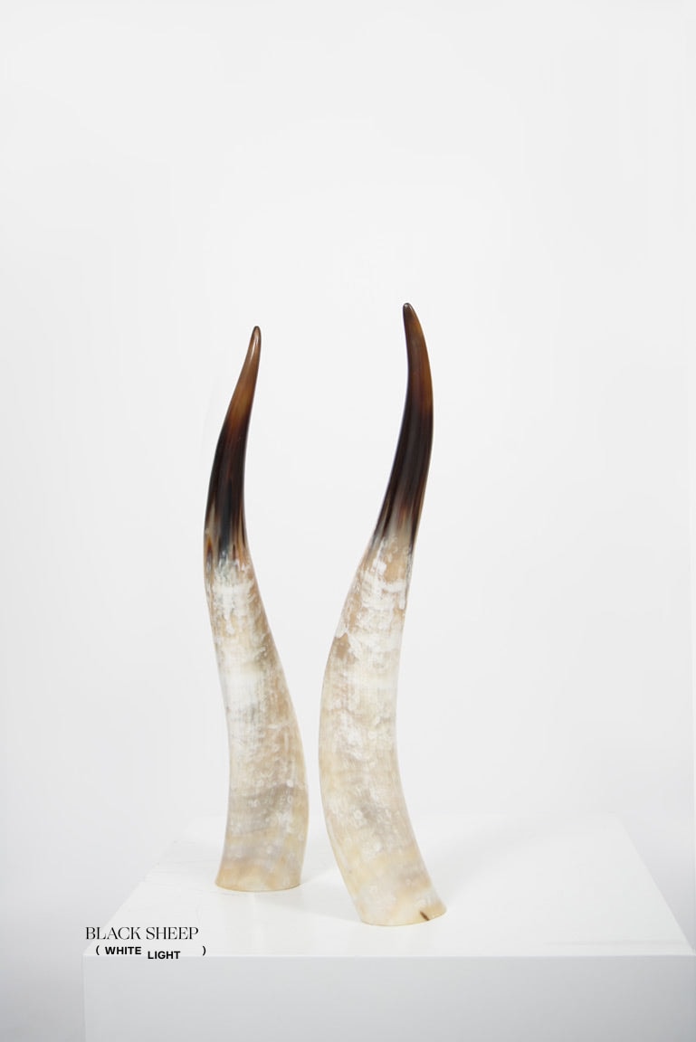 Ankole Light Decorative Horn Set
