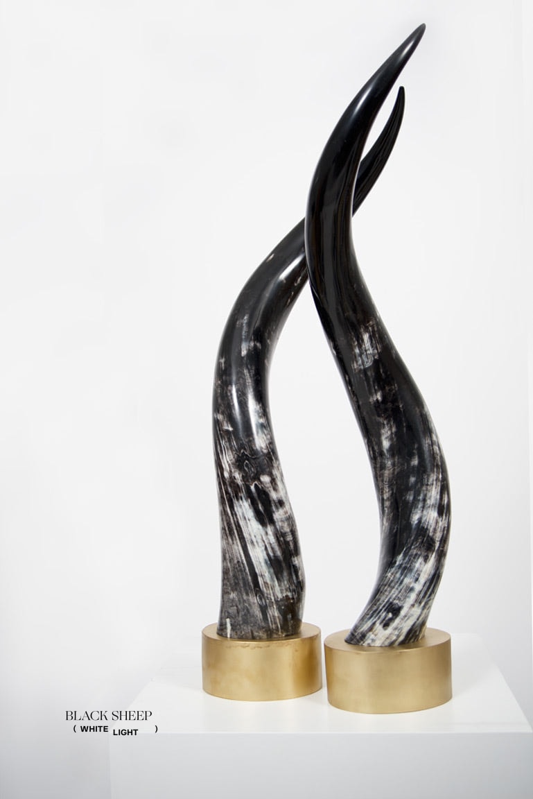 Ankole Dark Decorative Horn Set