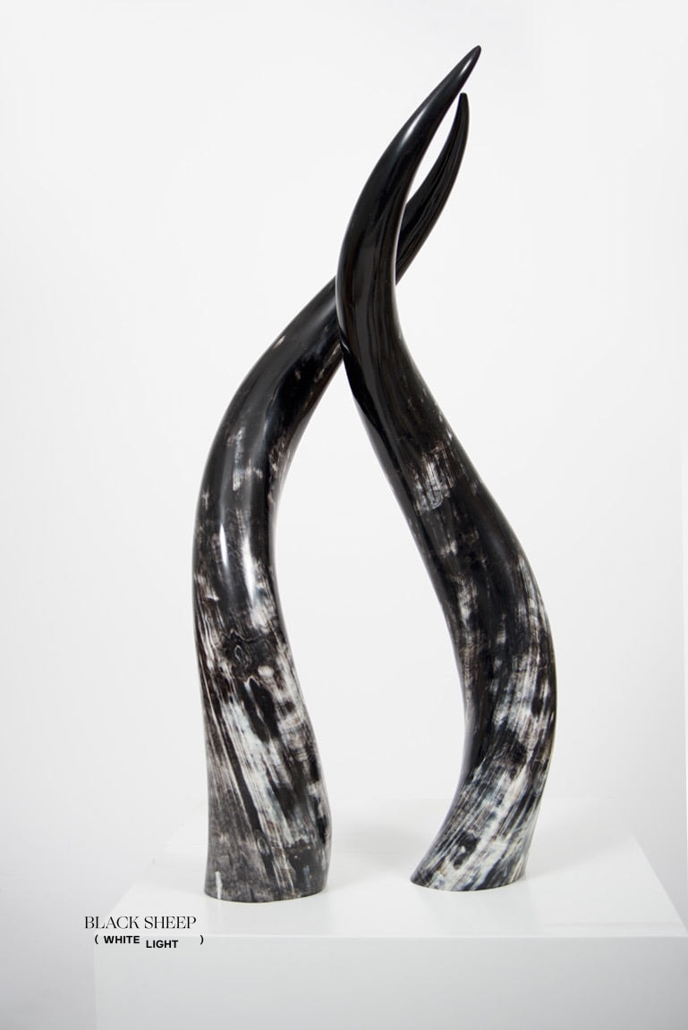 Ankole Dark Decorative Horn Set