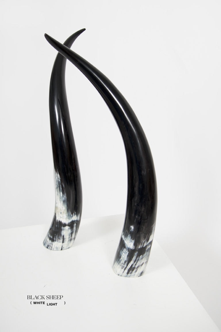 Ankole Dark Decorative Horn Set