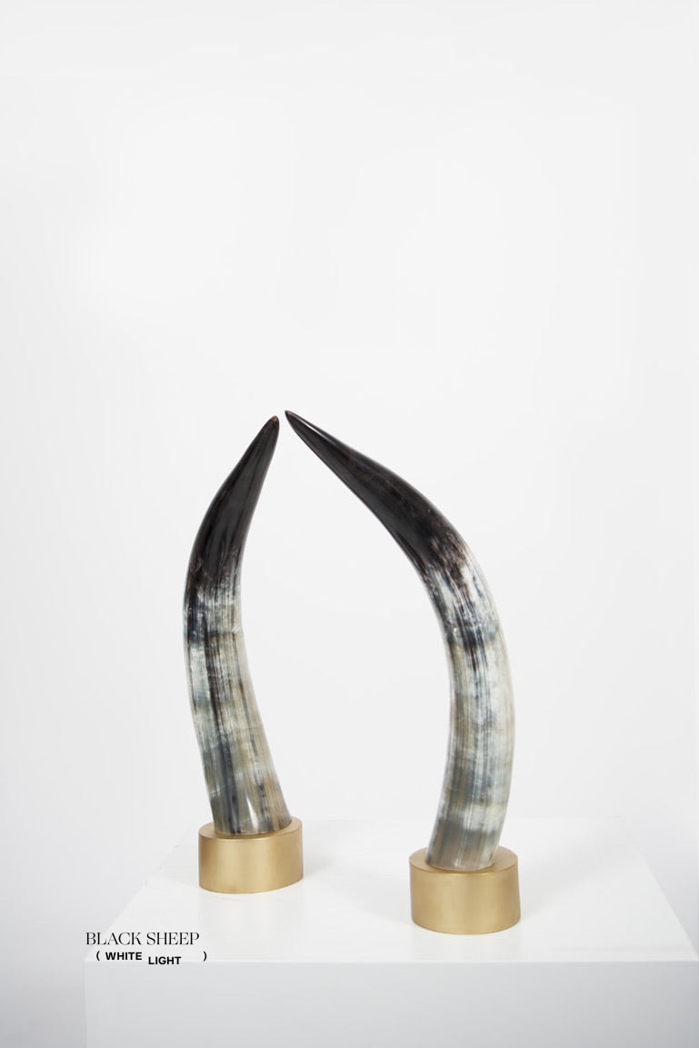 Ankole Dark Decorative Horn Set