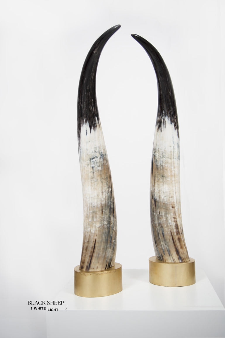Ankole Dark Decorative Horn Set