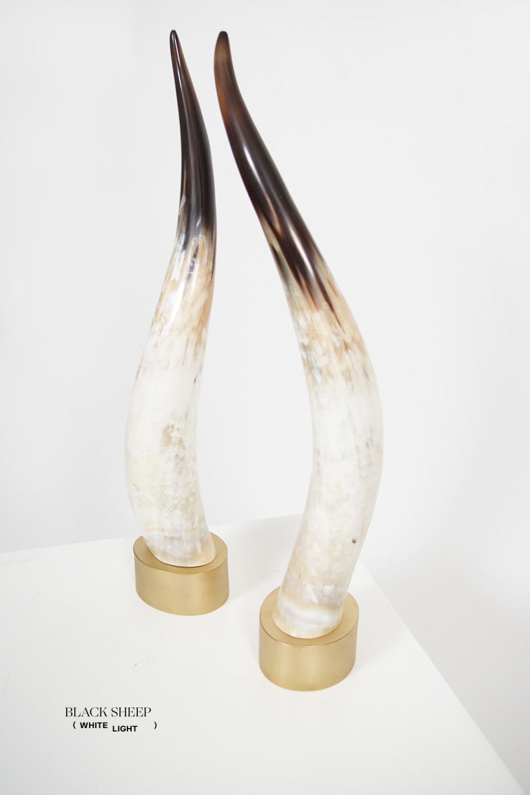 Ankole Light Decorative Horn Set