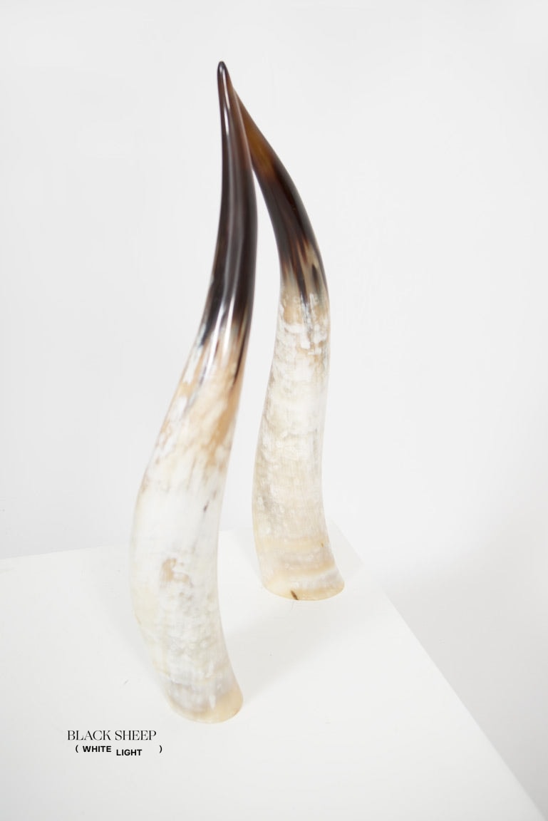 Ankole Light Decorative Horn Set