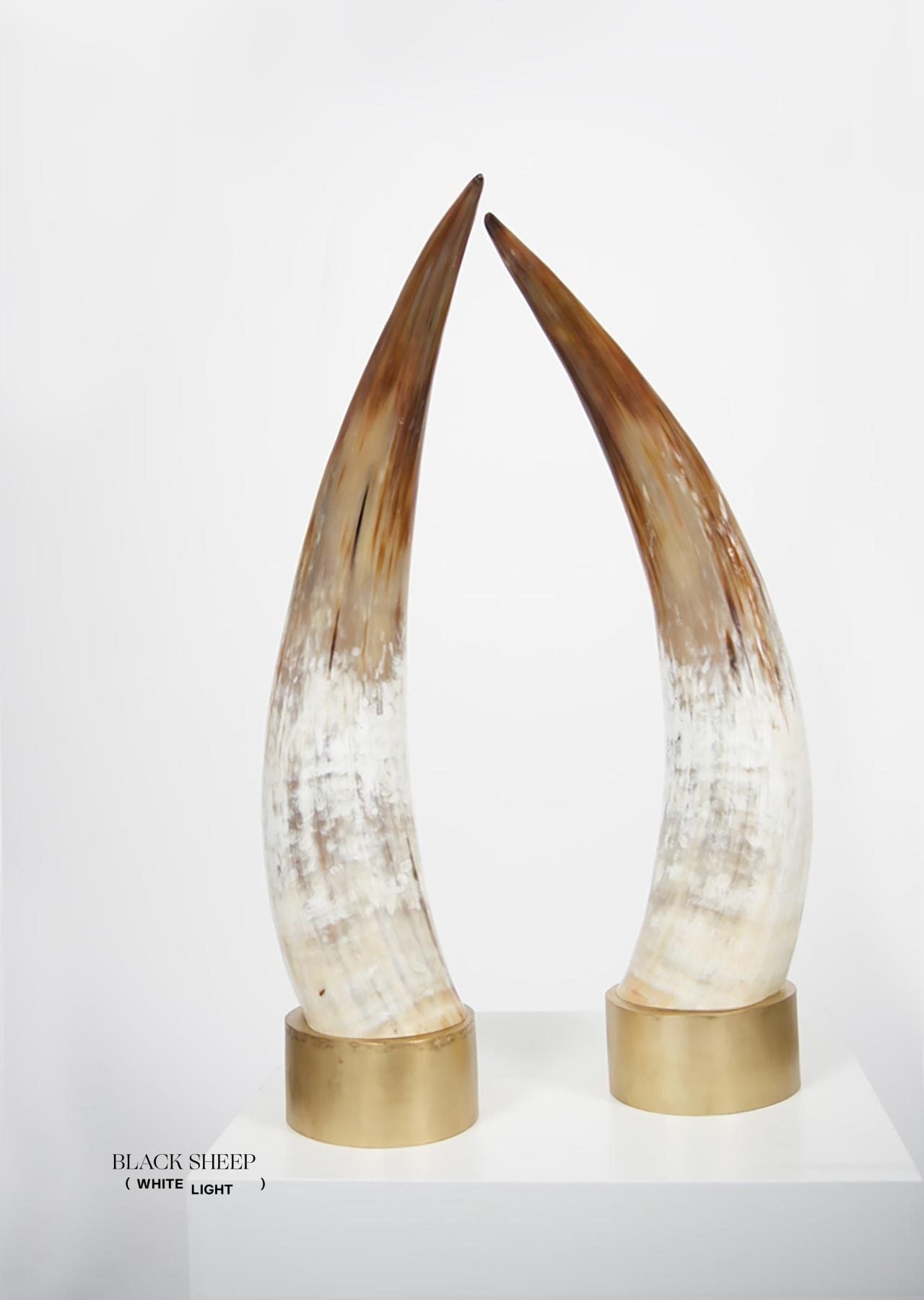 Ankole Light Decorative Horn Set
