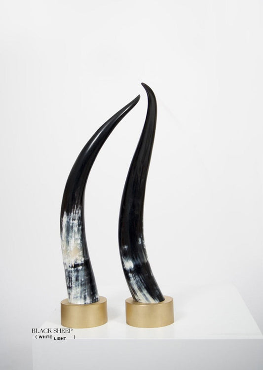 Ankole Dark Decorative Horn Set