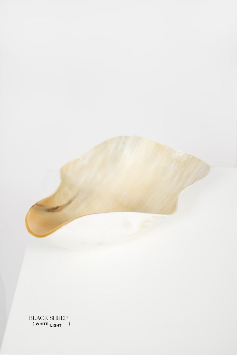 Ankole & Gyr Horn Light Organic Vessel