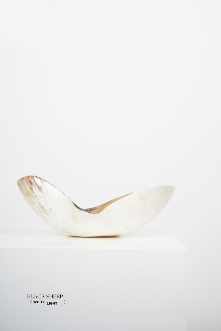Ankole & Gyr Horn Light Organic Vessel