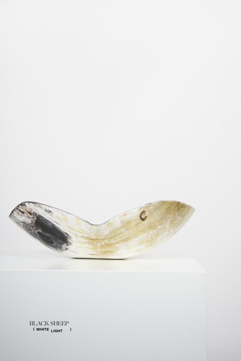 Ankole & Gyr Horn Light Organic Vessel