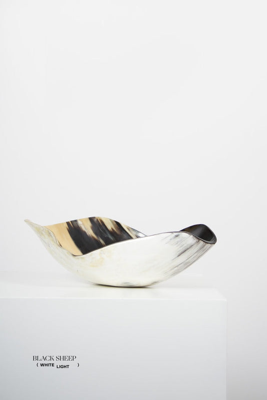 Ankole & Gyr Horn Light Organic Vessel