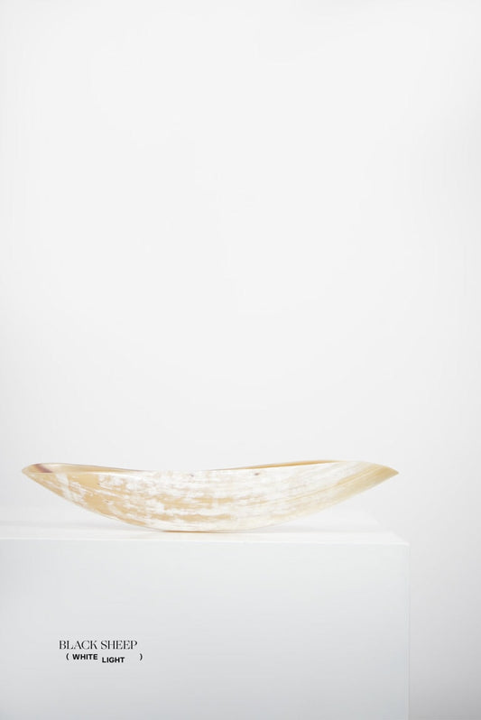 Ankole & Gyr Horn Light Oval  Vessel