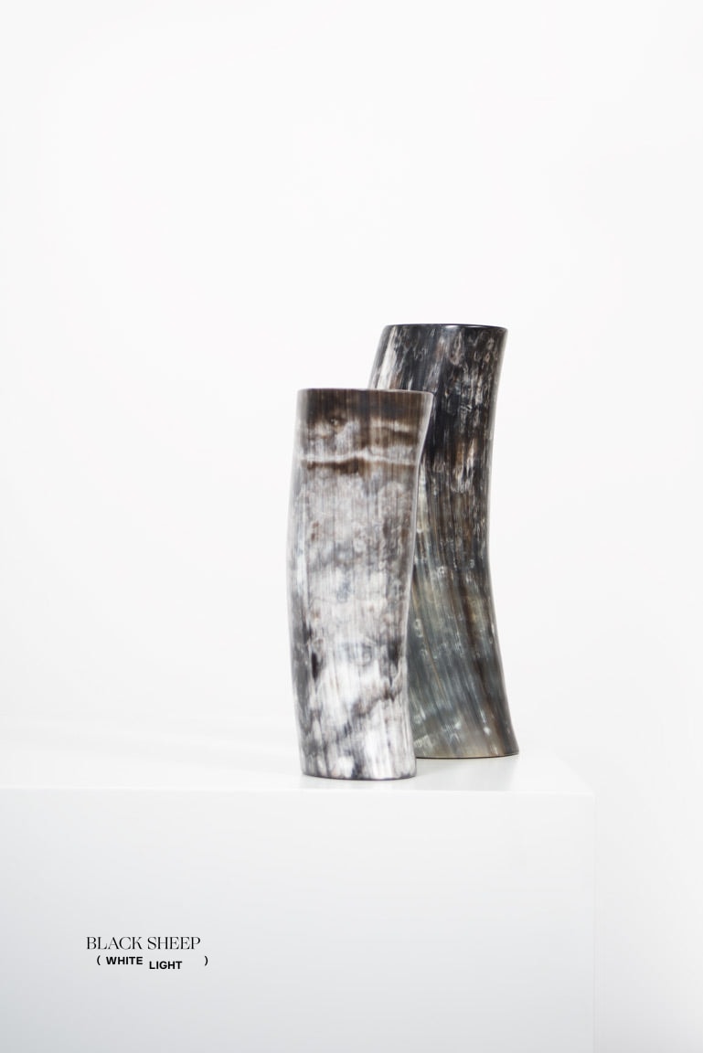 Ankole & Gyr Horn Dark Vase