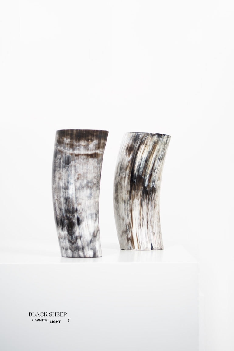 Ankole & Gyr Horn Dark Vase