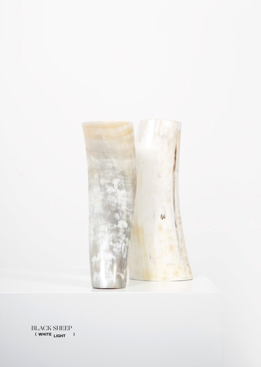 Ankole & Gyr Horn Light Vase