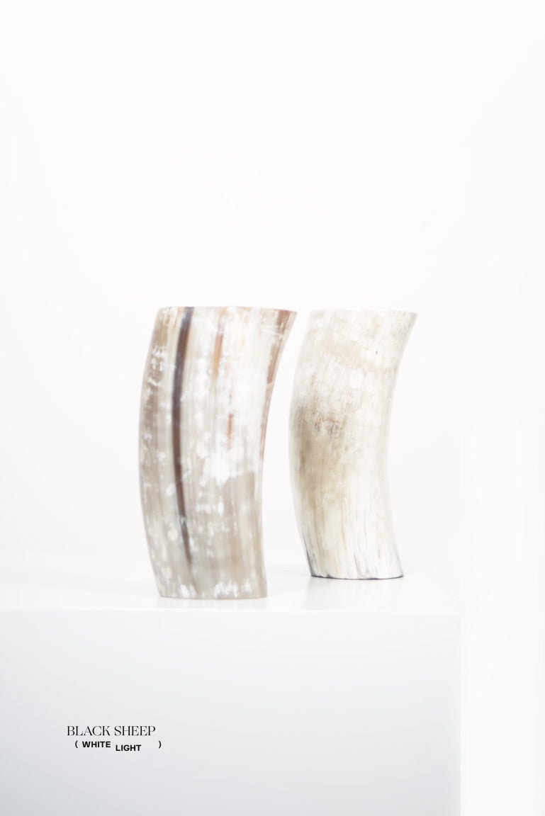 Ankole & Gyr Horn Light Vase