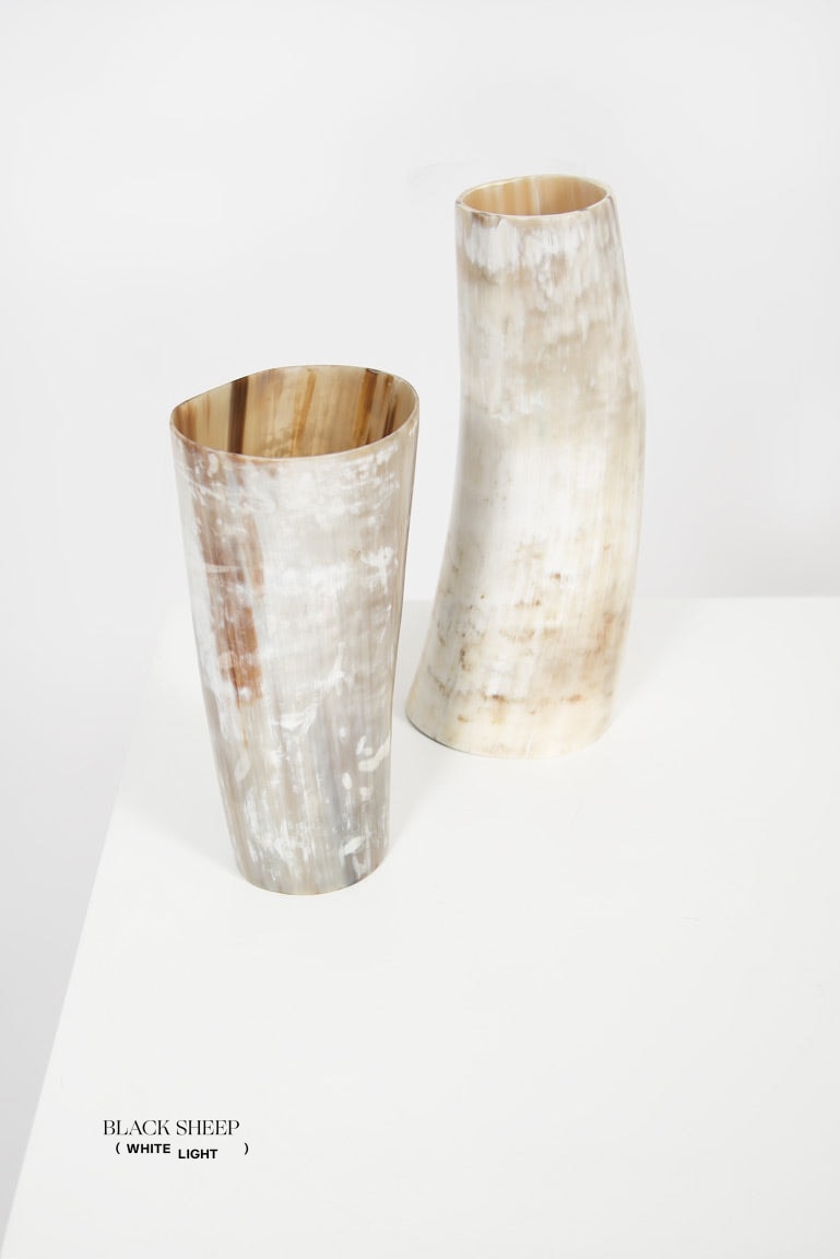 Ankole & Gyr Horn Light Vase