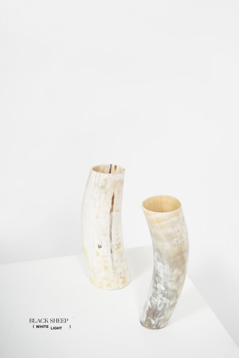 Ankole & Gyr Horn Light Vase