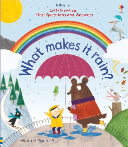 Lift-the-flap First Questions & Answers what makes it rain?
