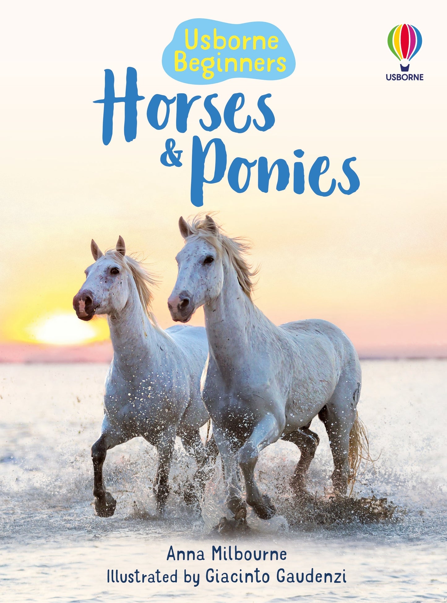 Horses and Ponies (Usborne Beginners)
