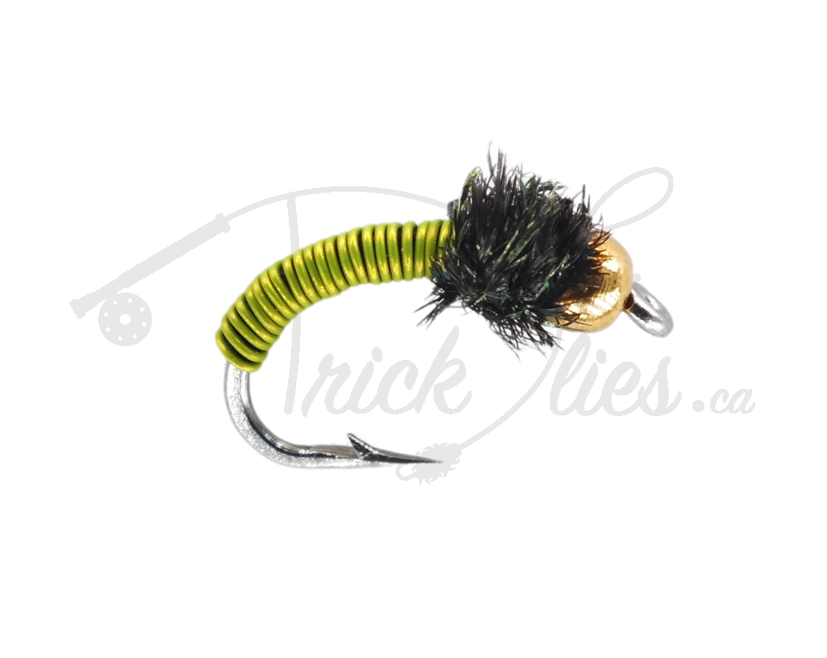 Beadhead Brassie Chartreuse