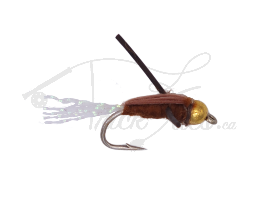 Beadhead Water Boatman Brown