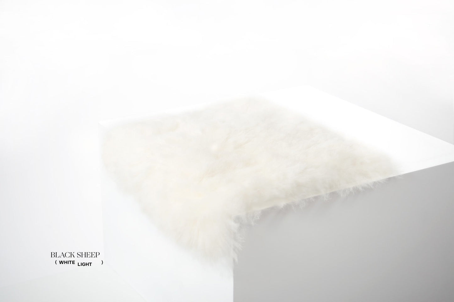 Shorn White Icelandic Sheepskin Chair Pad