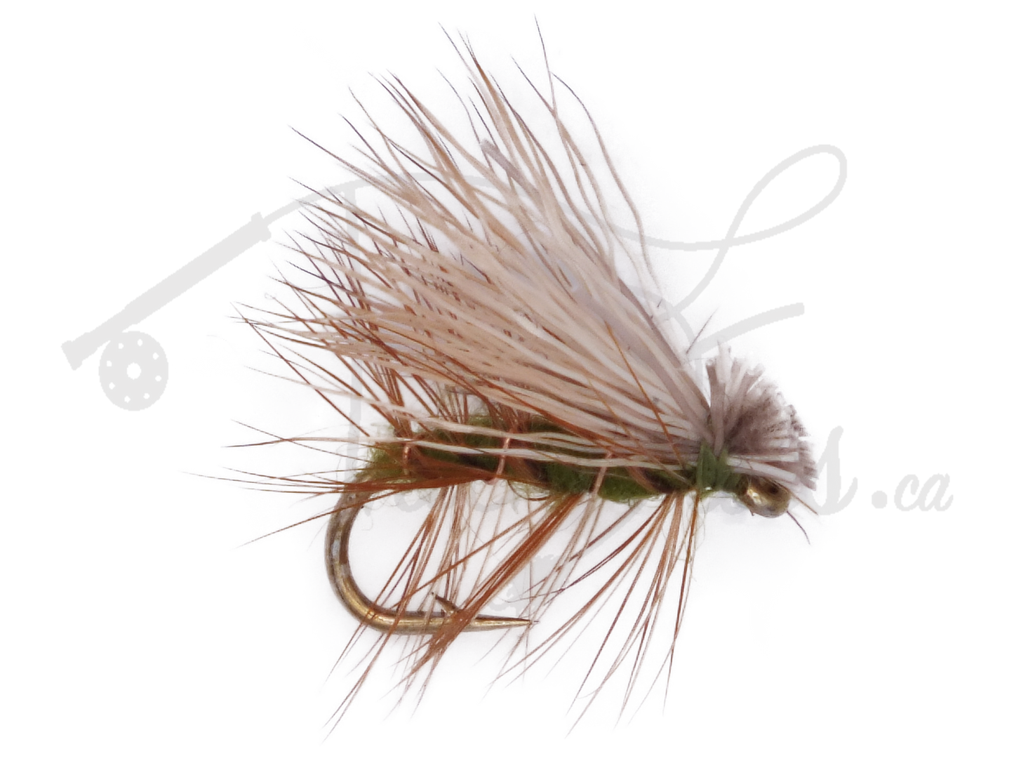 Elk Hair Caddis Olive