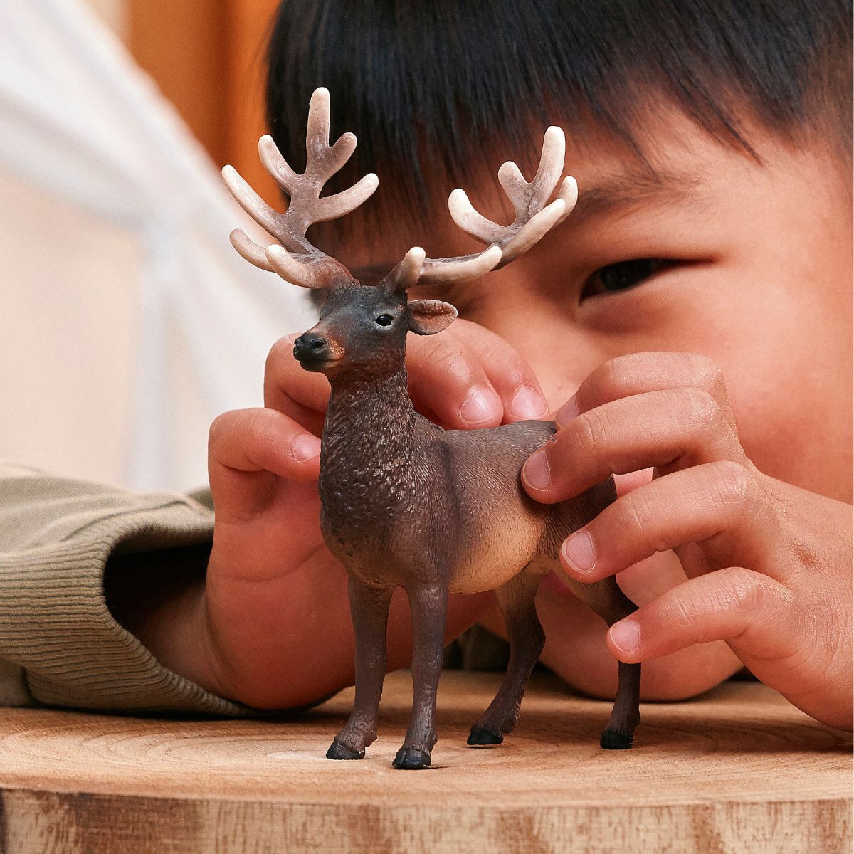 Elk