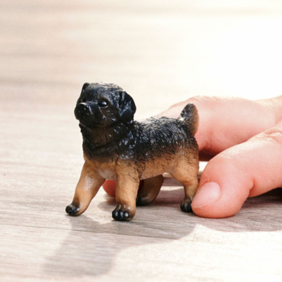 German Shepherd puppy