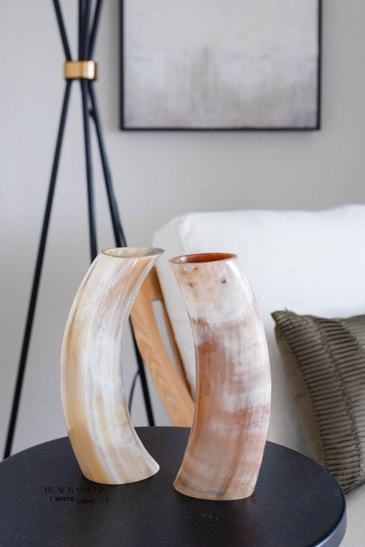 Ankole & Gyr Horn Light Vase