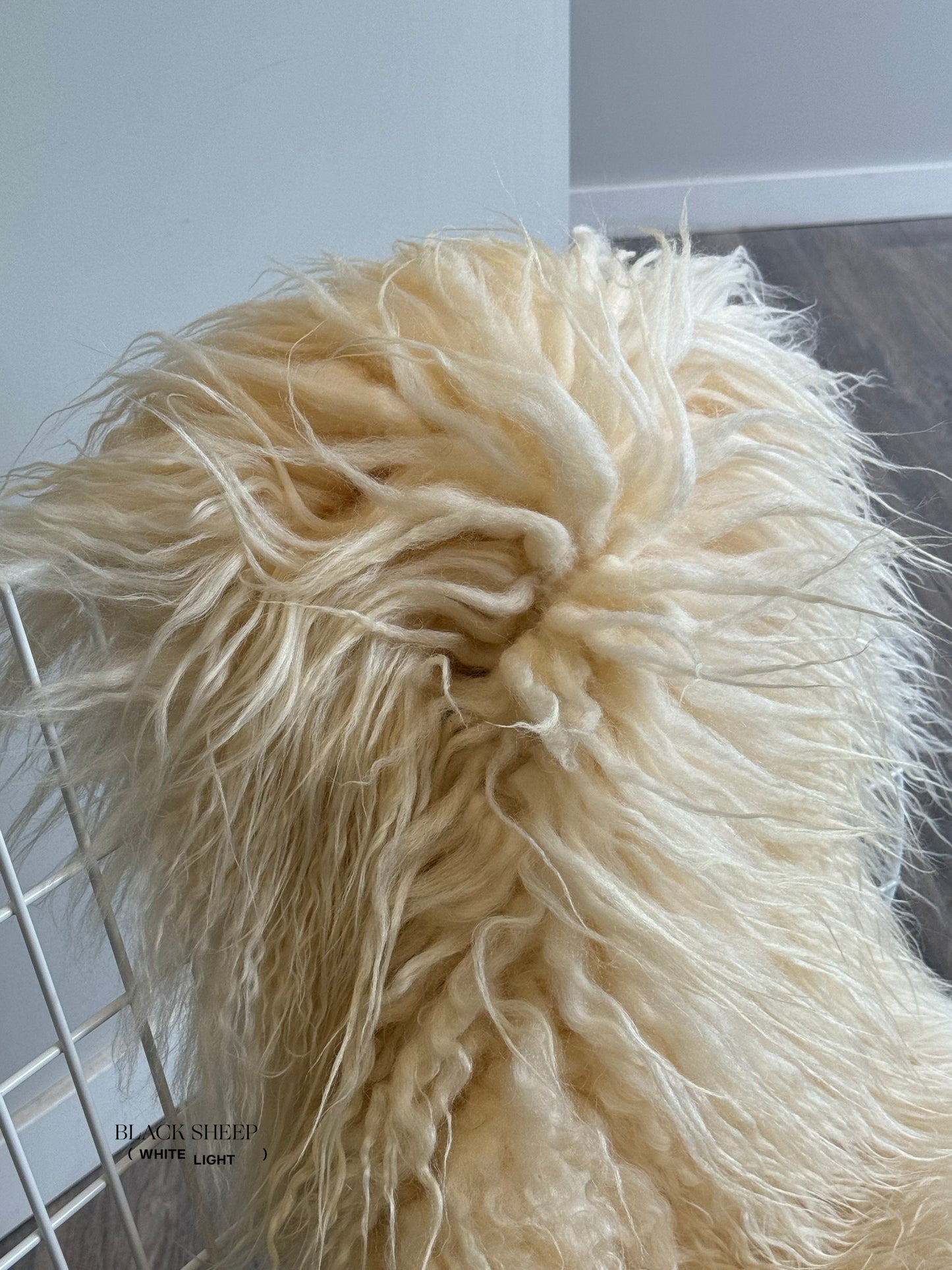 White Icelandic Curly Sheepskin