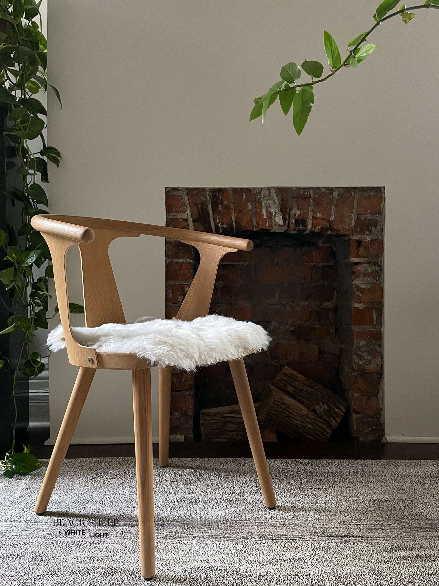 Shorn White Icelandic Sheepskin Chair Pad