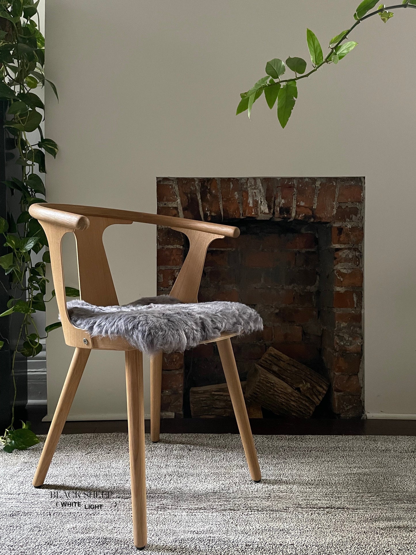 Shorn Silver Icelandic Sheepskin Chair Pad