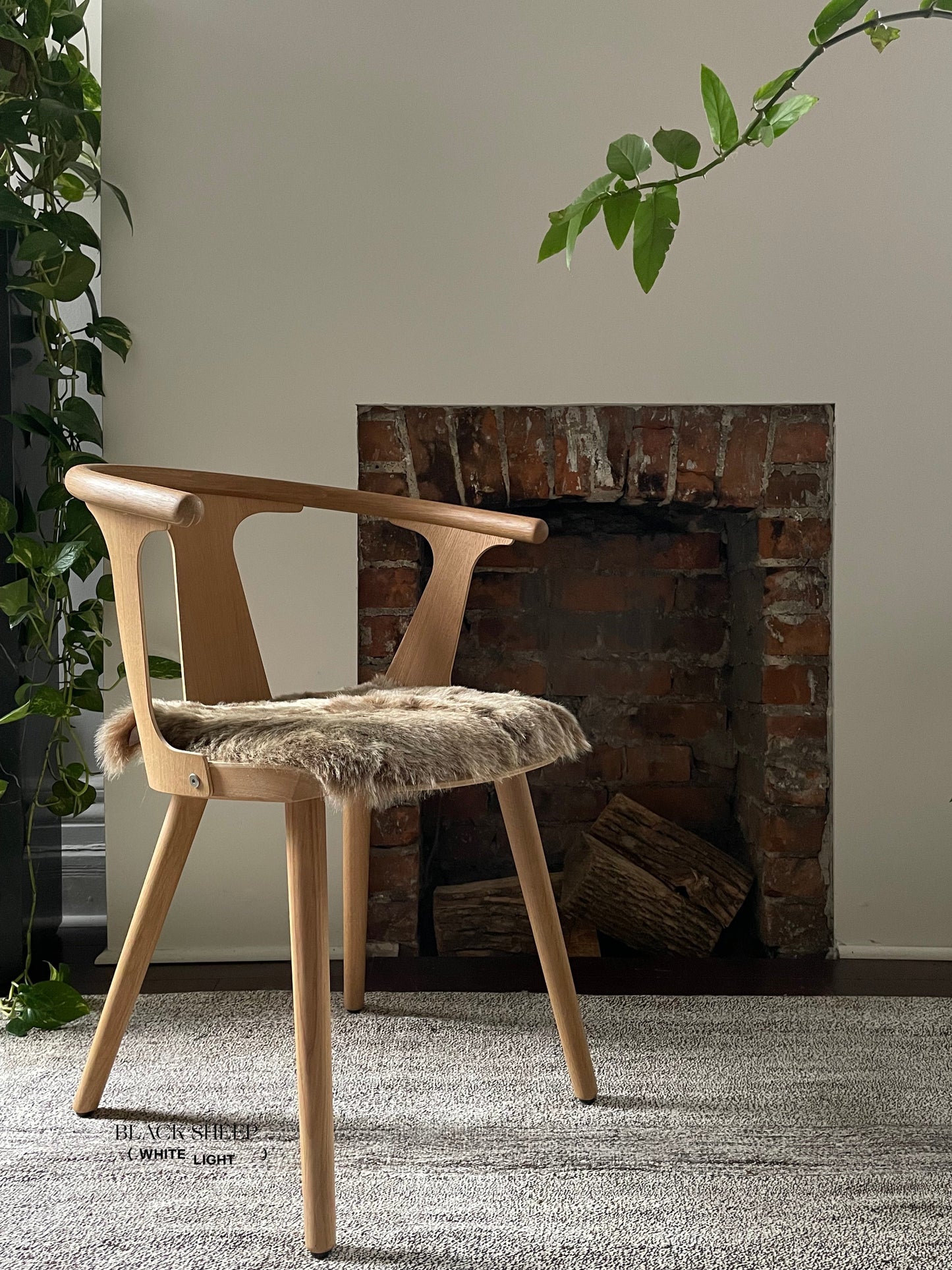 Shorn Brown Icelandic Sheepskin Chair Pad