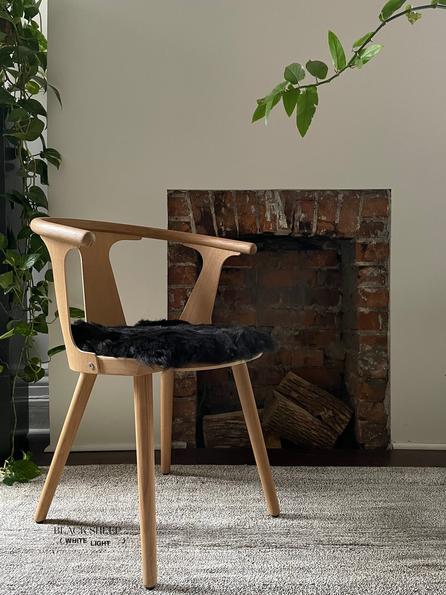 Shorn Black Icelandic Sheepskin Chair Pad