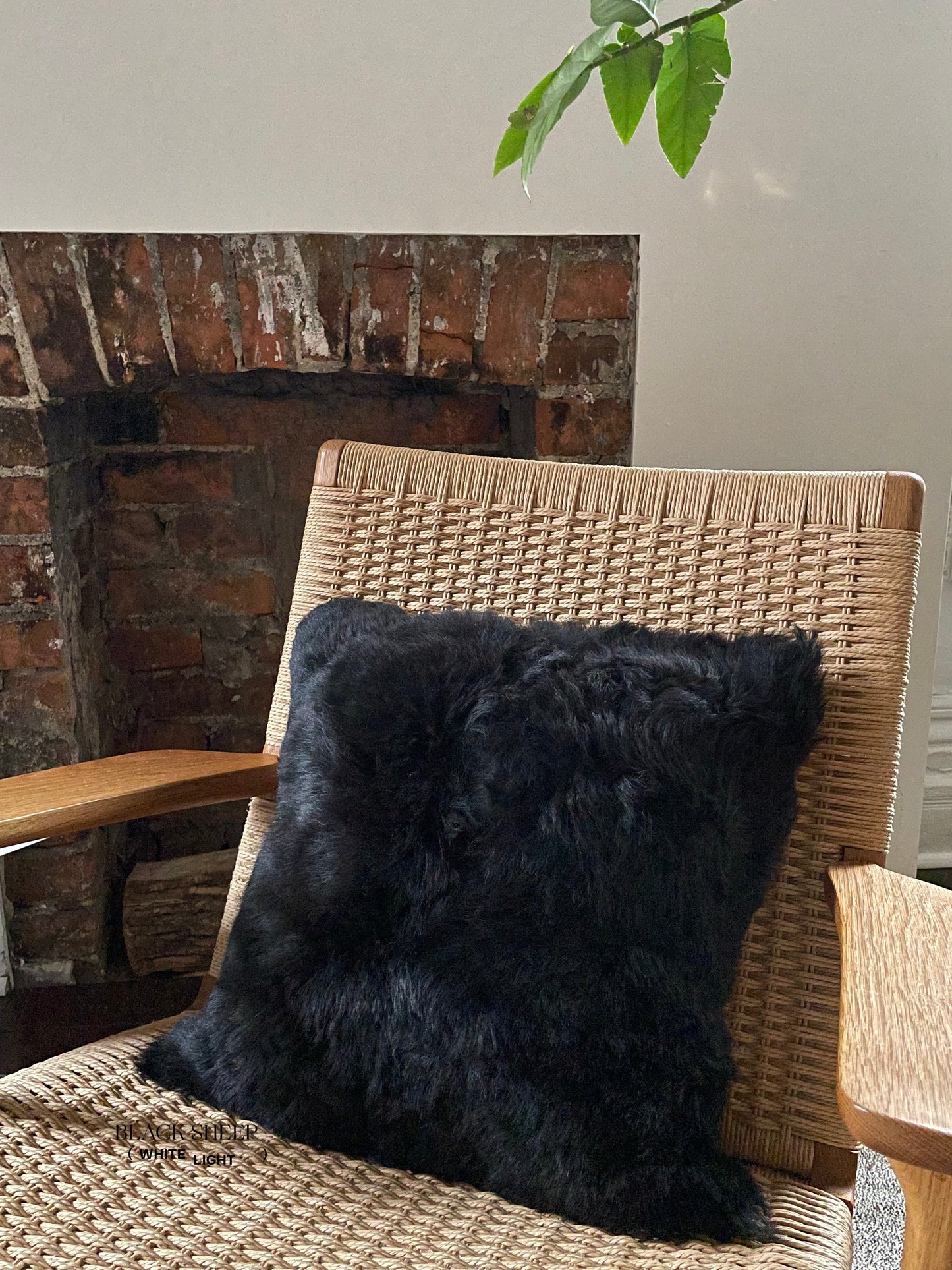Square Shorn Black Icelandic Sheepskin Pillow Cover