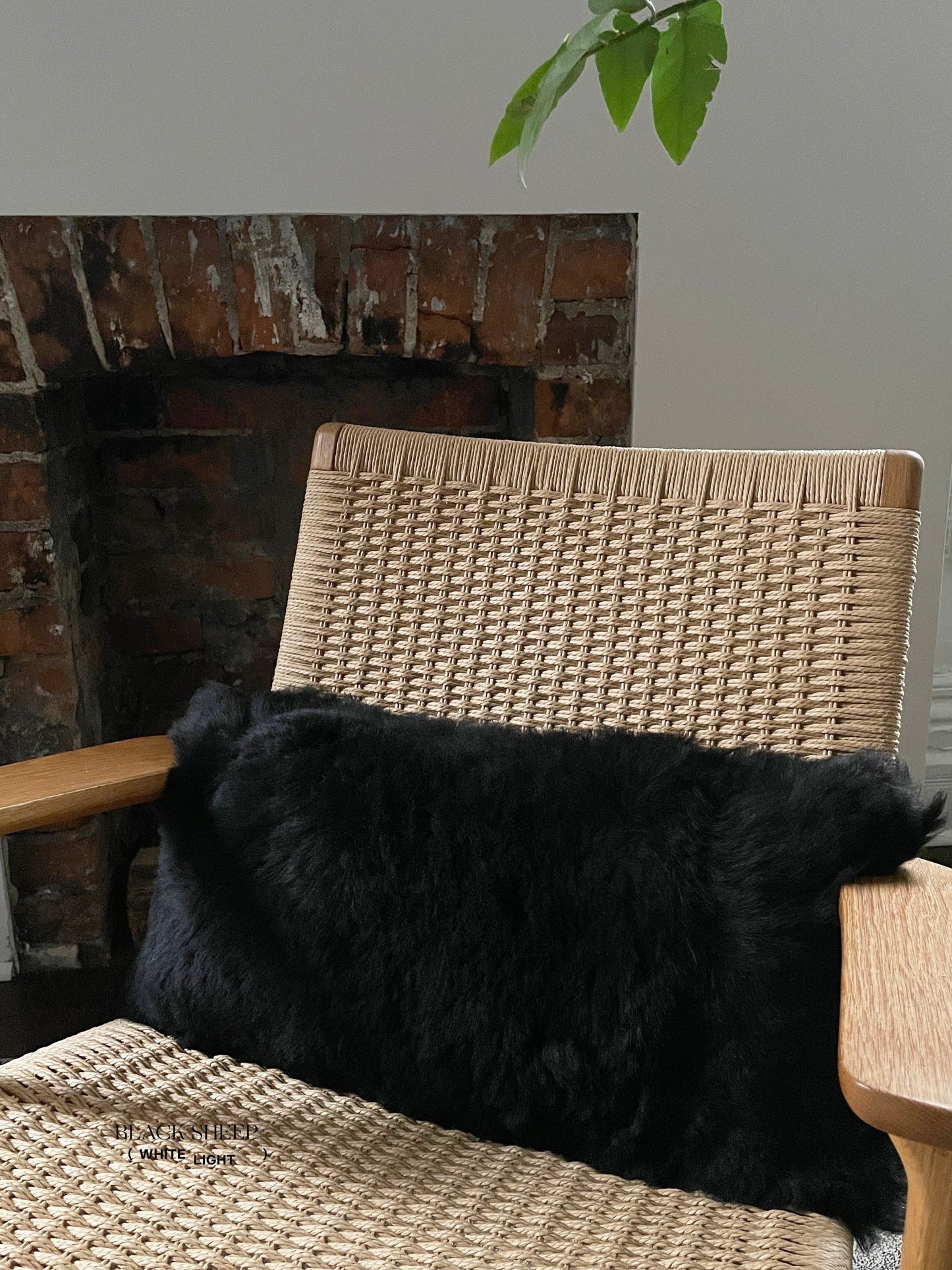 Rectangular Shorn Black Icelandic Sheepskin Pillow Cover