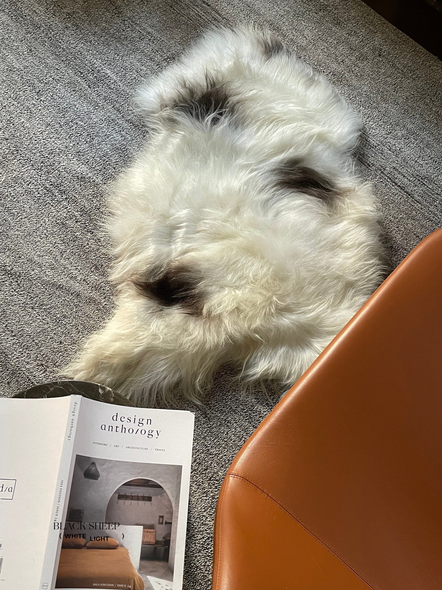 Spotted Icelandic Sheepskin | Minimal