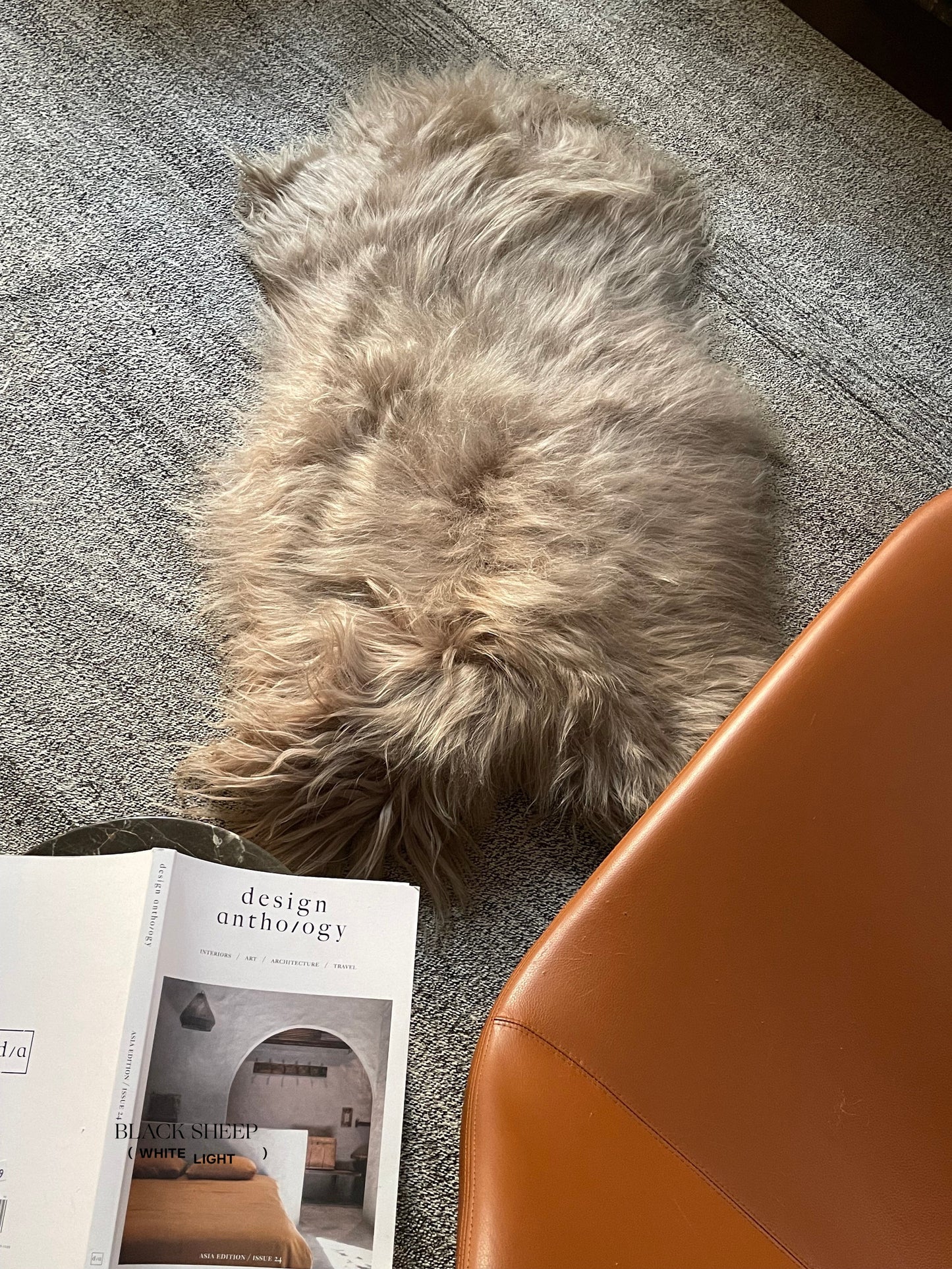 Camel Icelandic Sheepskin