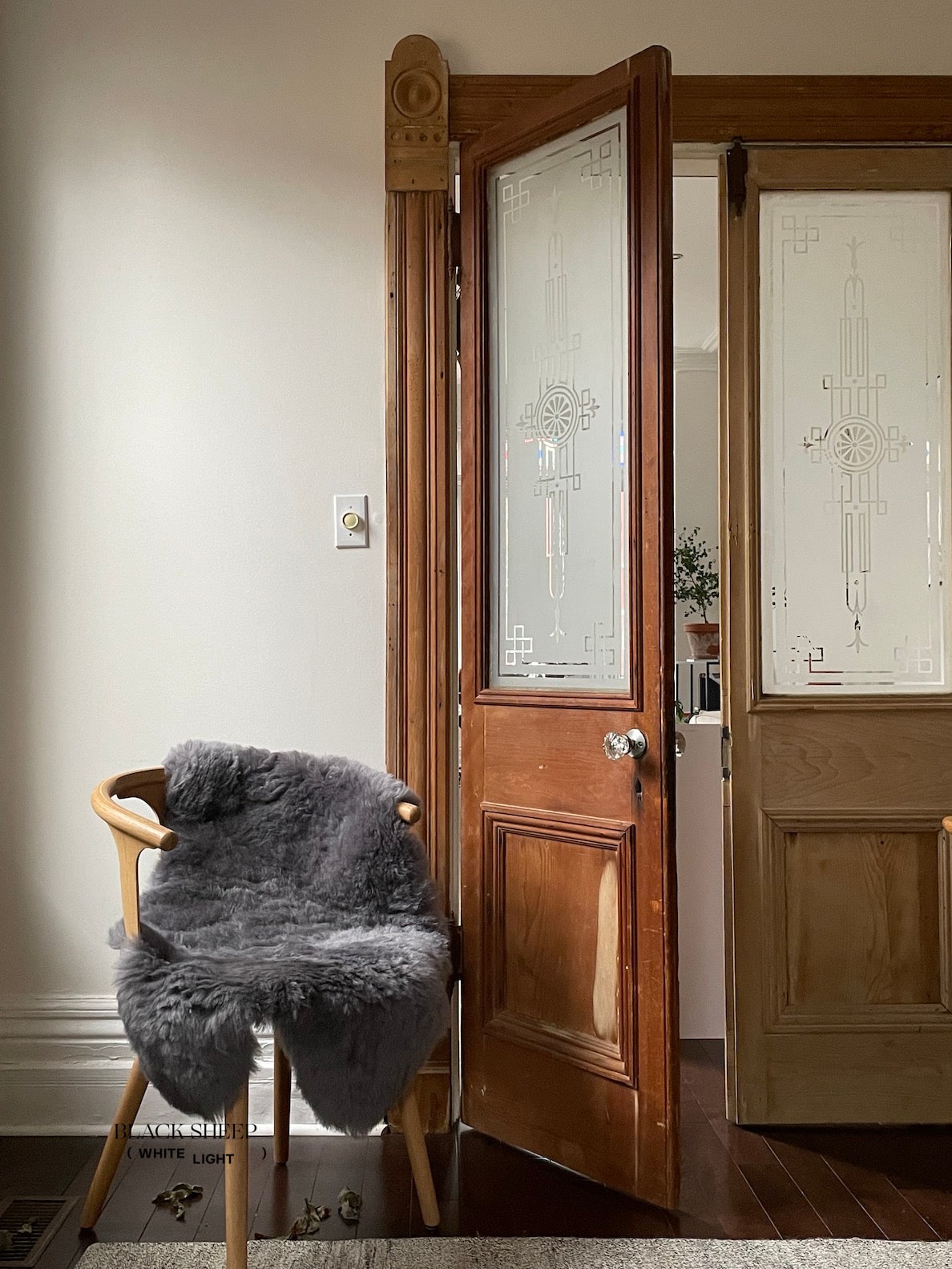 Shorn Silver Icelandic Sheepskin