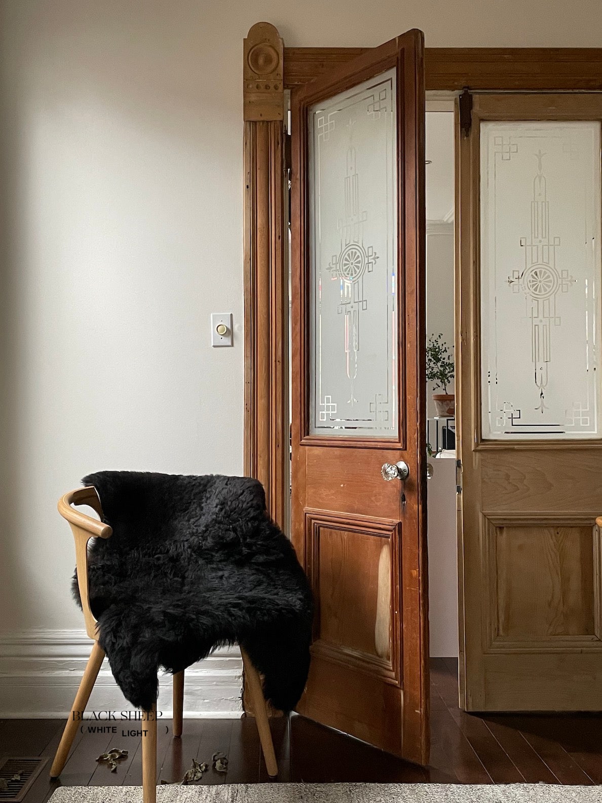 Shorn Black Icelandic Sheepskin