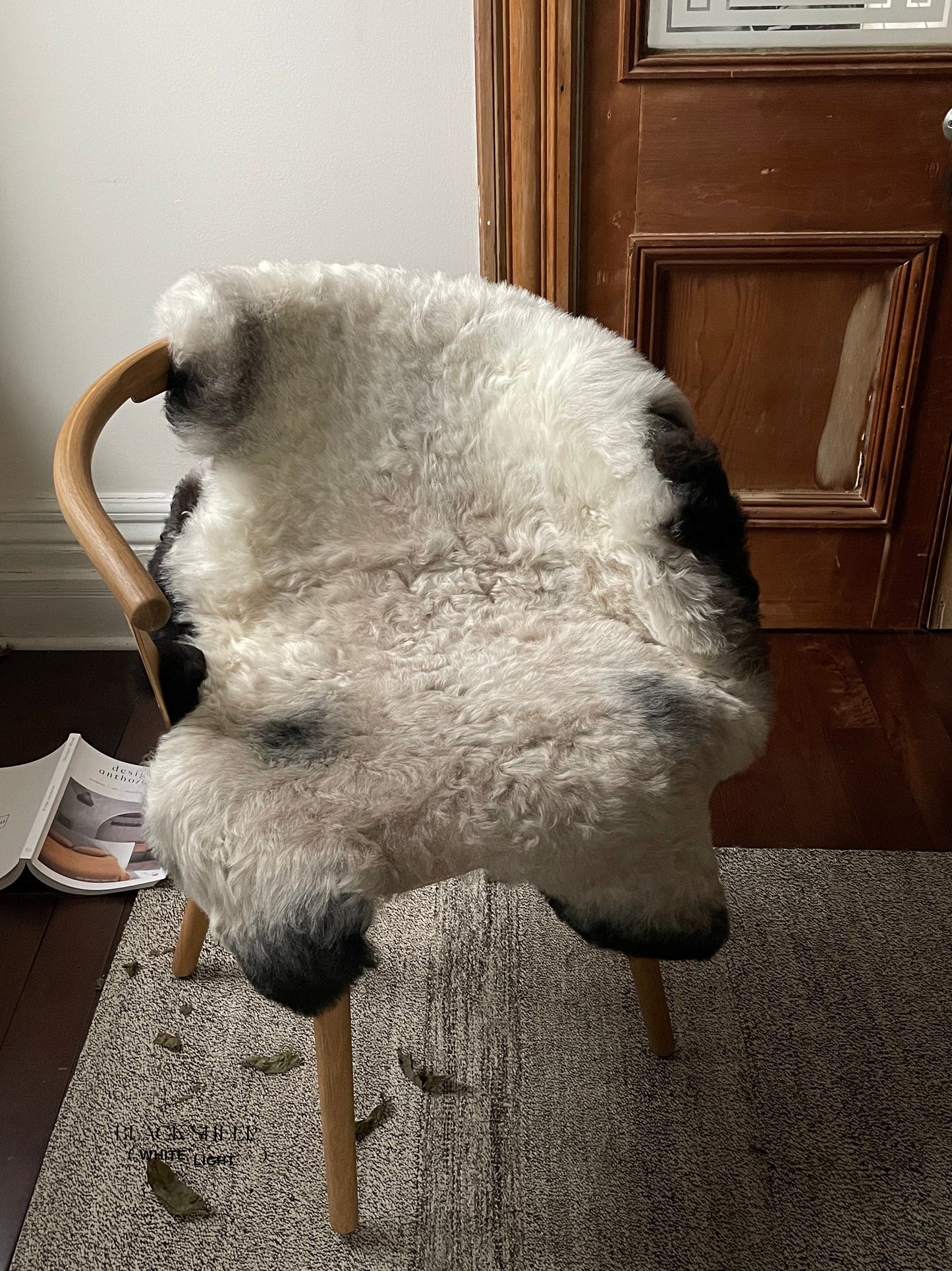 Shorn Dark Grey Edge Icelandic Sheepskin