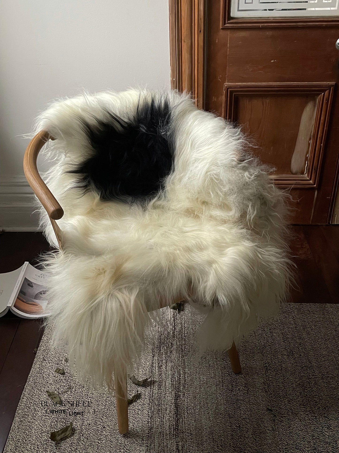 Black Spotted Icelandic Sheepskin | Random