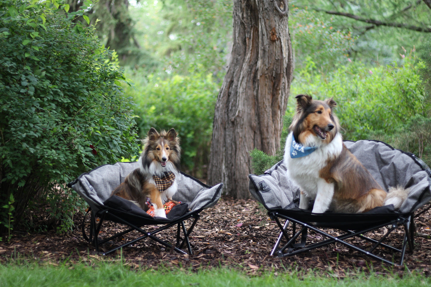Kuma Little Lazy Bear Dog Bed